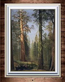 欧美树林写实图片高清